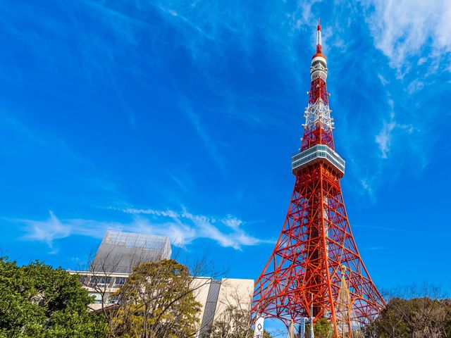 東京フリープランイメージ